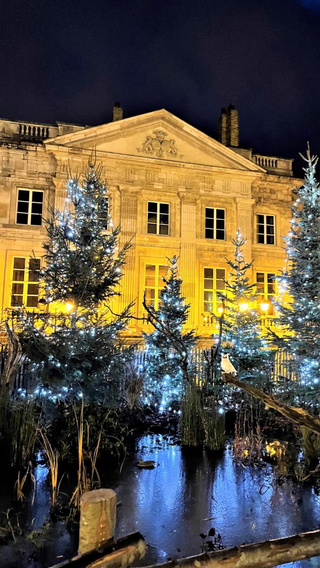 Cocon Lumineux Proche De La Ville Fortifiee Et De Nausicaa 滨海布洛涅 外观 照片