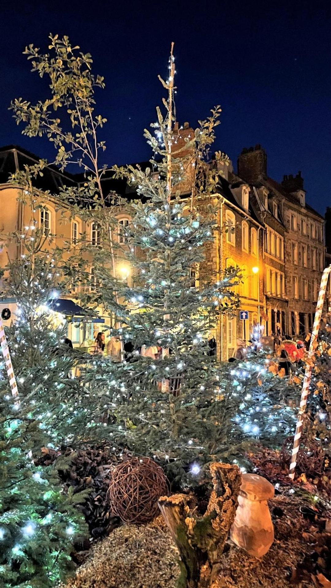 Cocon Lumineux Proche De La Ville Fortifiee Et De Nausicaa 滨海布洛涅 外观 照片